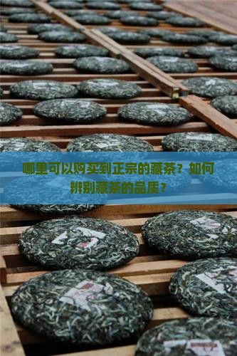 可以购买藏的茶叶