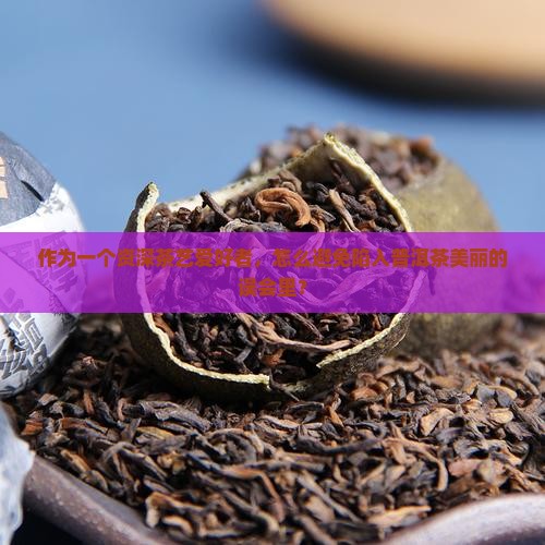 普洱茶的美丽错误