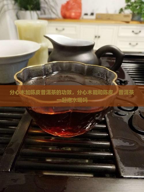 分心木加陈皮普洱茶