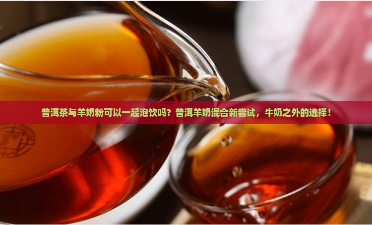 普洱茶可以和羊奶一起泡吗