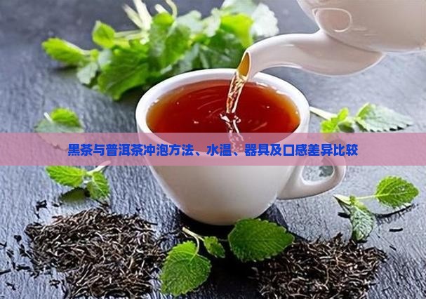 黑茶和普洱茶的冲泡区别