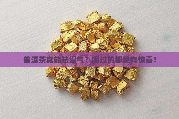 普洱茶除体内湿气吗
