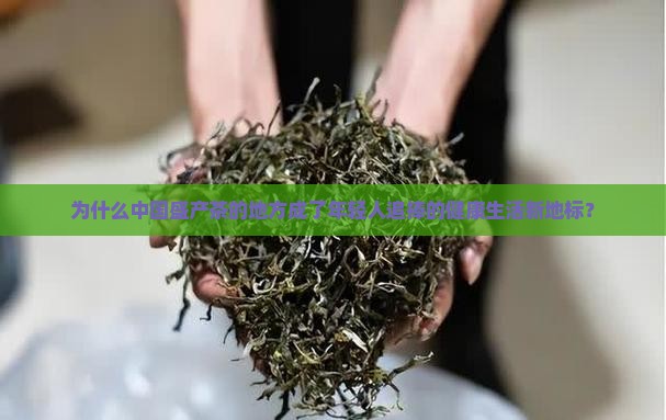 中国盛产茶的地方