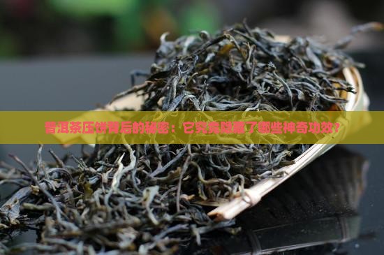 普洱茶压饼的作用