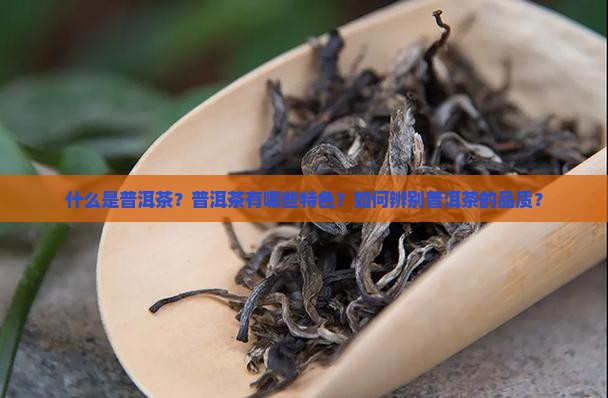 普洱茶十大特色