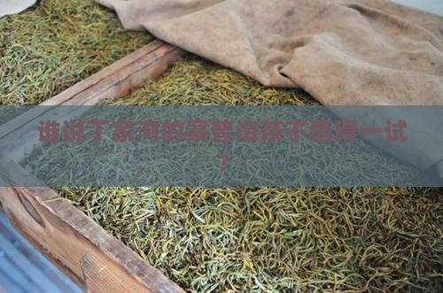 丁家湾寨普洱茶