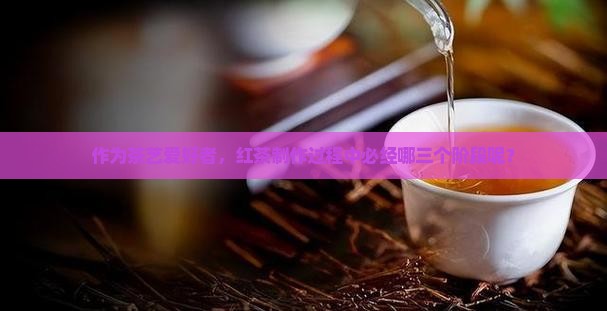 红茶加工工艺分为哪三个步骤