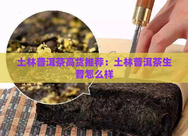 土林普洱茶高货推荐
