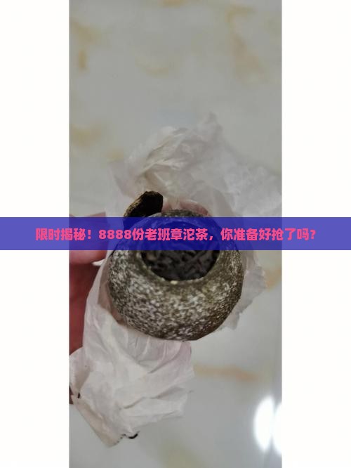 老班章沱茶限量8888