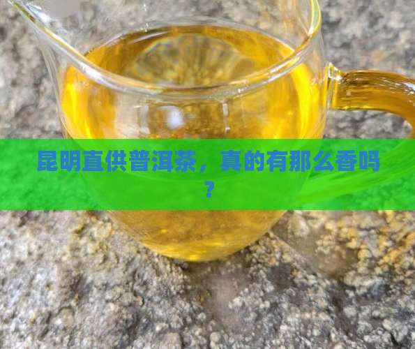 昆明普洱茶直销