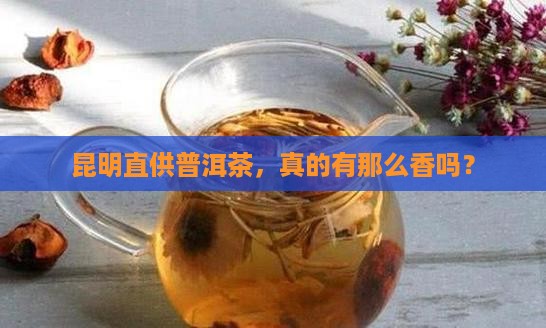 昆明普洱茶直销