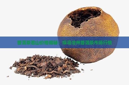 沧州茗山普洱茶价格