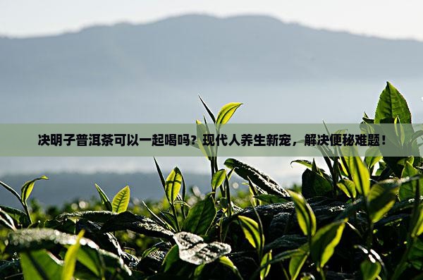 决明子普洱茶可以一起喝吗 决明子普洱茶可以一起喝吗