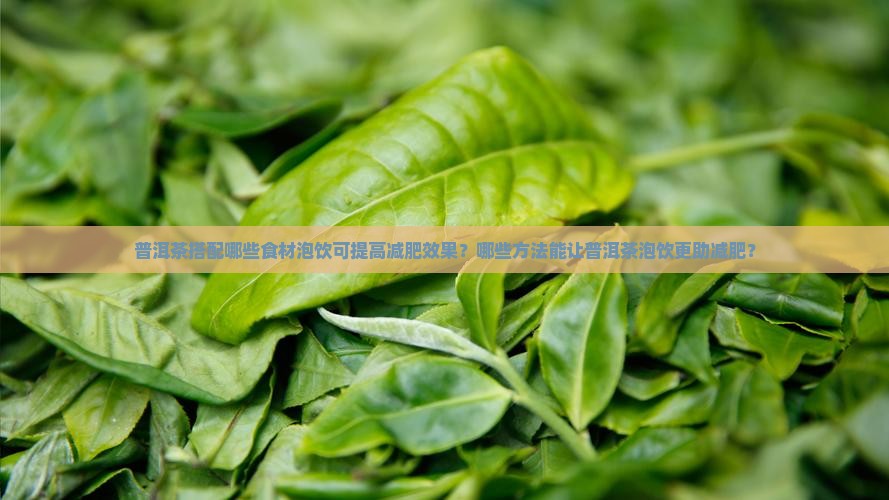 普洱茶和什么一起泡减肥效果好