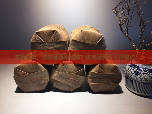 东莞普洱茶热线电话