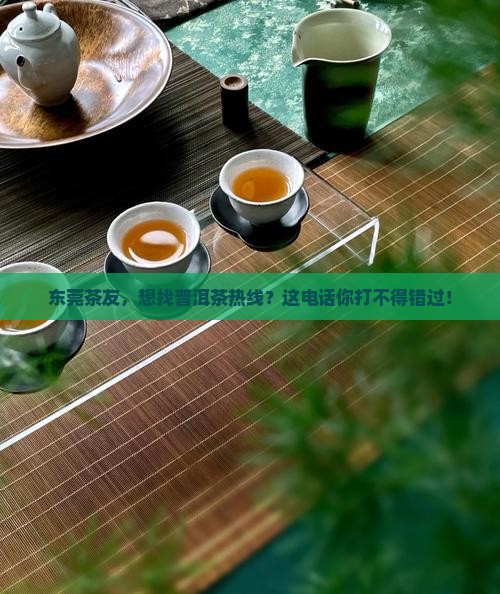 东莞普洱茶热线电话