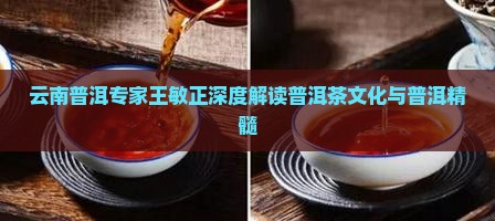 王敏正说普洱茶