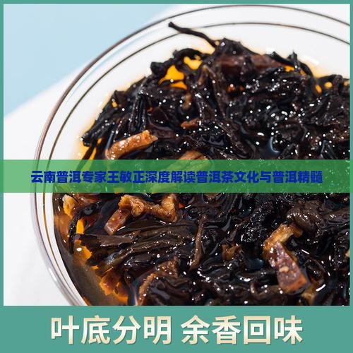王敏正说普洱茶
