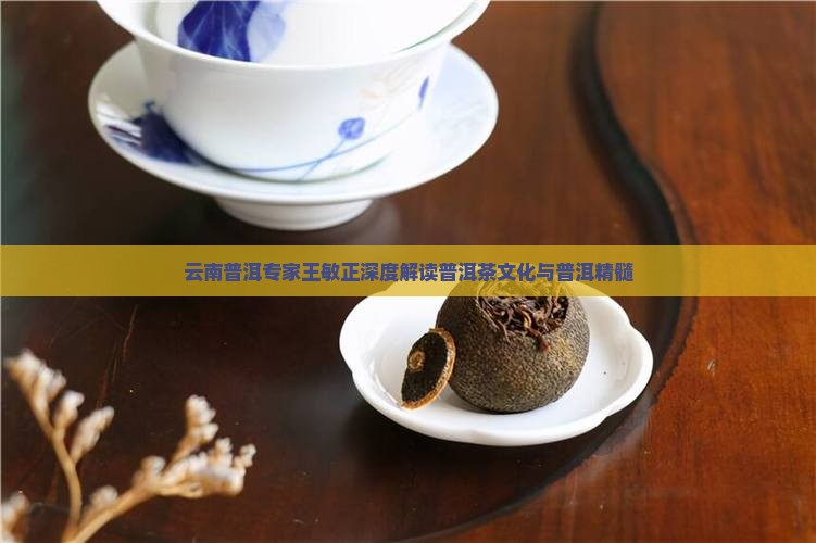 王敏正说普洱茶
