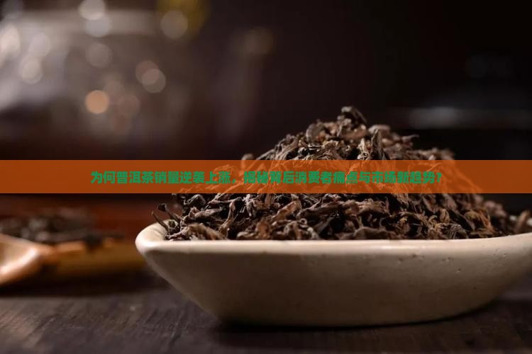 普洱茶销量上升