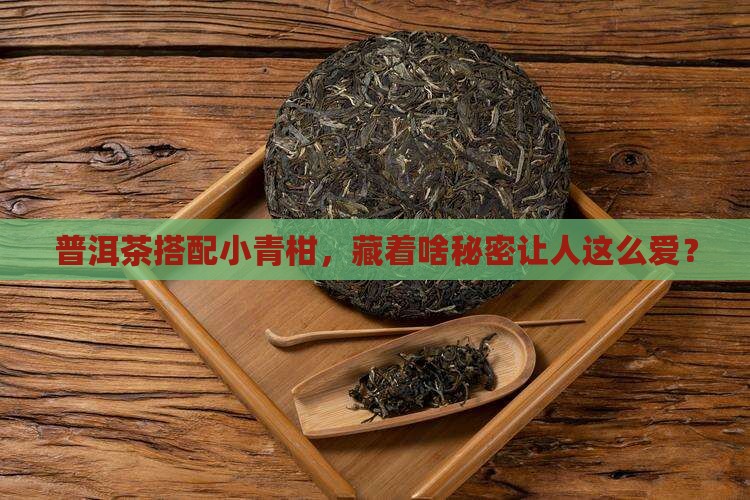 小青柑为啥和普洱茶搭配