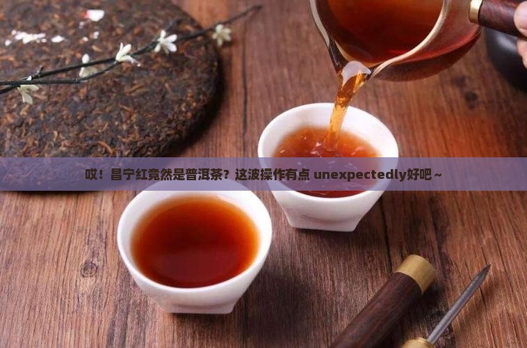 昌宁红属于普洱茶