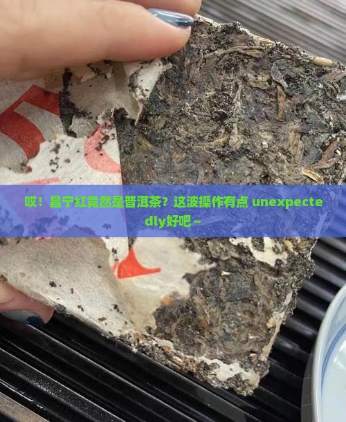 昌宁红属于普洱茶