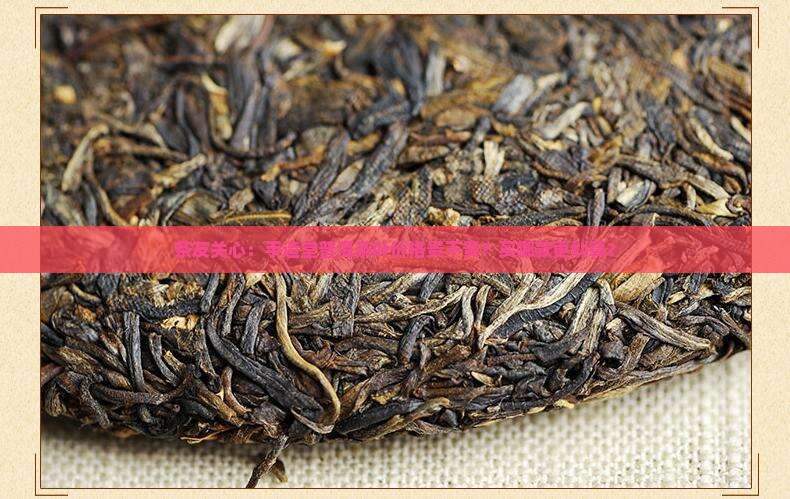 手造堂普洱茶叶价格