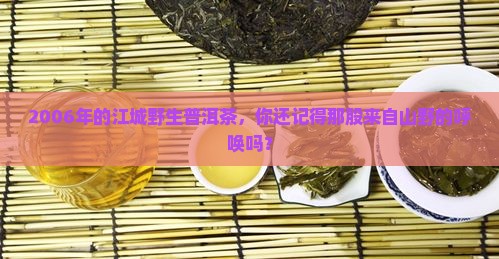 2006年江城野生普洱茶