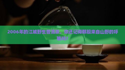 2006年江城野生普洱茶