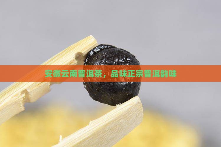 安徽云南普洱茶 安徽云南普洱茶