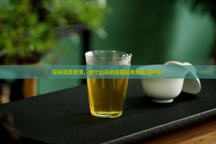 什么山头普洱茶刺激性小