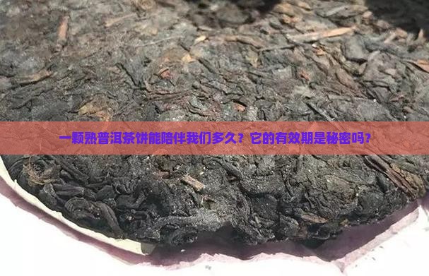 熟普洱茶饼有效期多少年