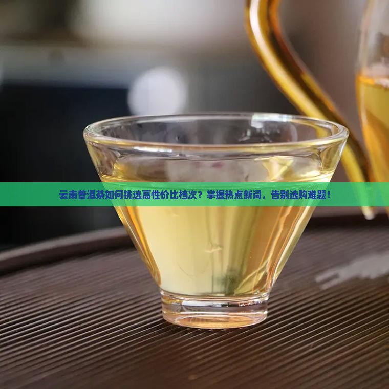 云南普洱茶什么档次好一些