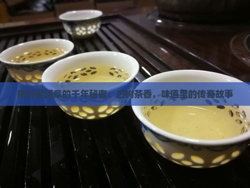 老班章名山古茶