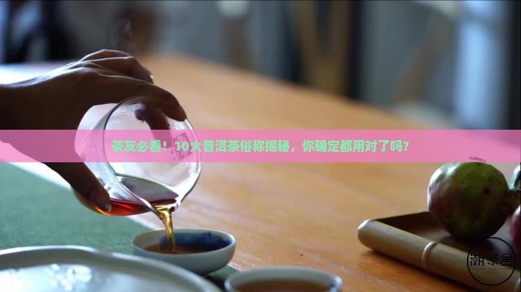 普洱茶名称标准大全