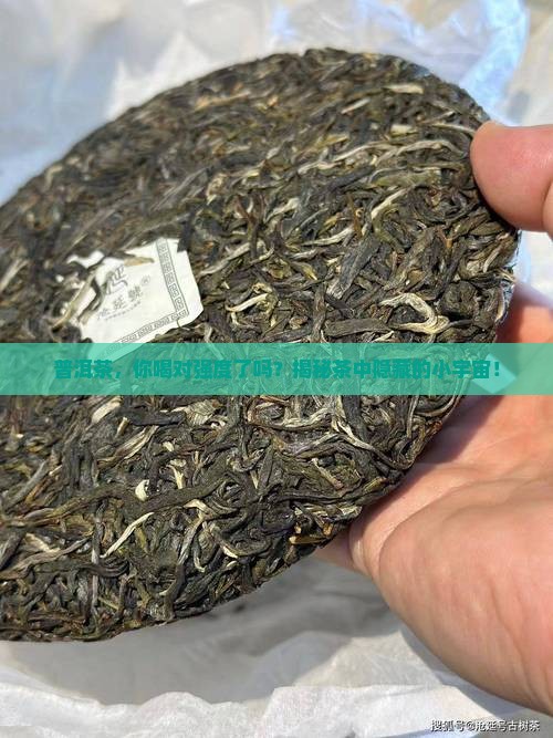 普洱茶有强度之分