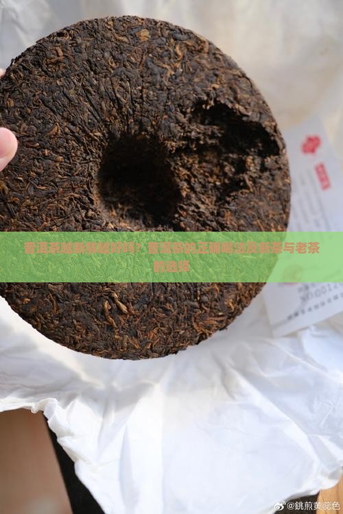 普洱茶越新鲜越好吗