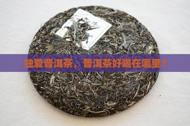 独爱普洱茶好喝吗