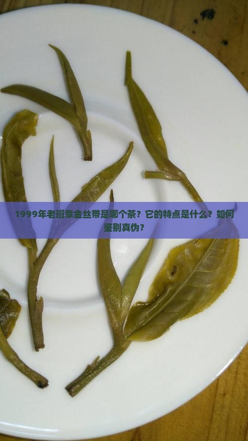 1999年老班章金丝带