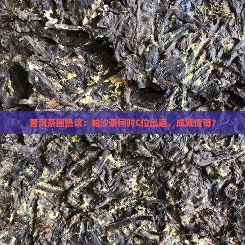 帕沙普洱茶成名时间是多少