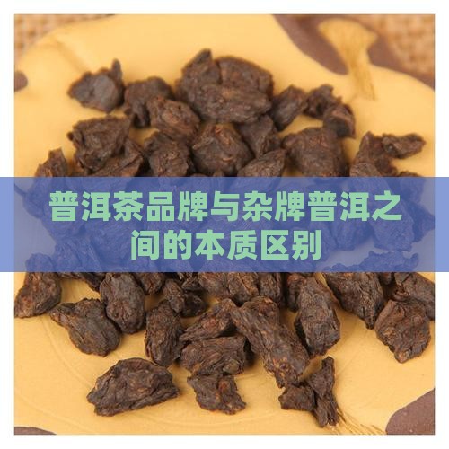 大品牌普洱茶和杂牌的区别