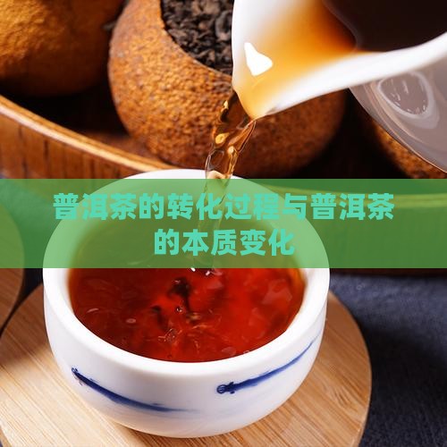 普洱茶转化的是什么