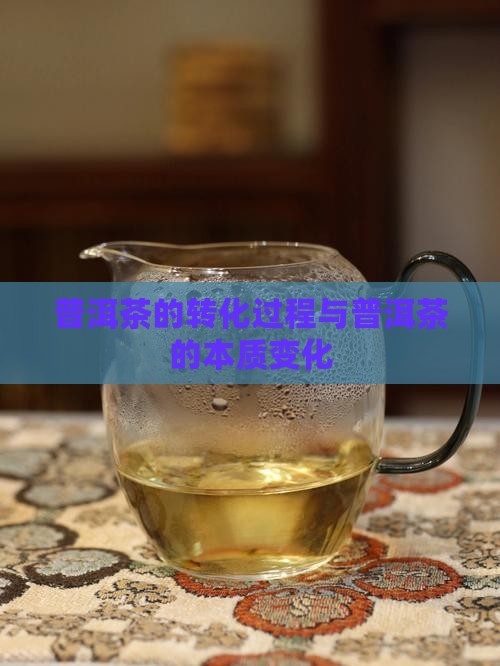 普洱茶转化的是什么