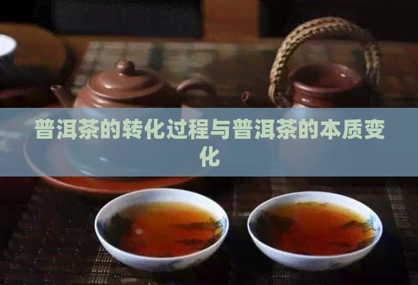 普洱茶转化的是什么