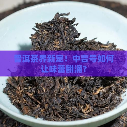 中吉号普洱茶上市