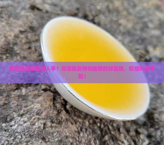 普洱茶哪里能买到好的品牌