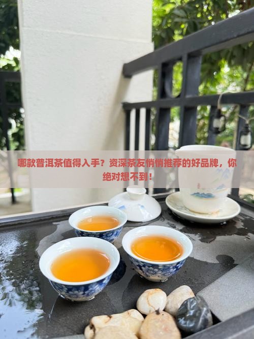 普洱茶哪里能买到好的品牌
