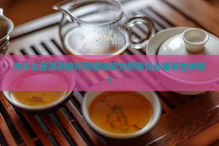 普洱茶的芹菜梗