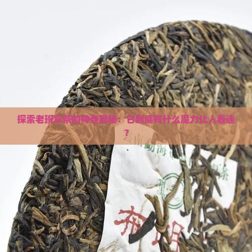 喝老班章茶的功效